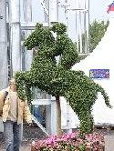 Délire arboricole
