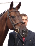 Jean Renaud et Haston d'Elpegere 