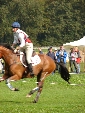 Tryon