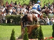 Arnaud - Expo 