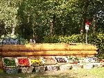 le 17