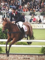 Foxpitt