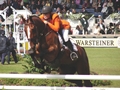 Megchelenbrink